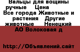 Вальцы для вощины ручные  › Цена ­ 10 000 - Все города Животные и растения » Другие животные   . Ненецкий АО,Волоковая д.